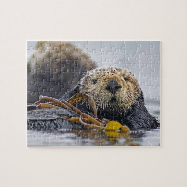 Puzzle Cute California Sea Otter - Wildlife Photography (Horizontal)