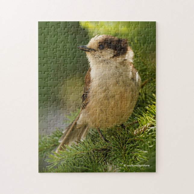Puzzle Cute Canada Jay / Gray Jay / Whiskeyjack (Vertical)