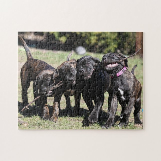 Puzzle Cute Cane Corso Puppy (Horizontal)