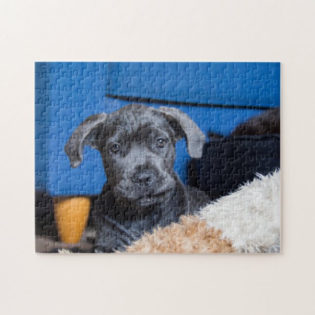 Puzzle Cute Cane Corso Puppy (Horizontal)