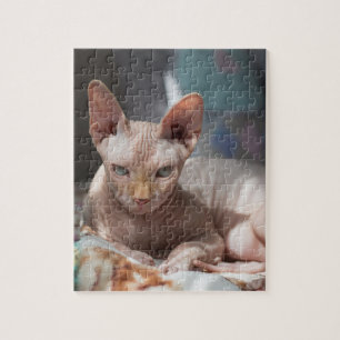 Puzzle Cute Cat Lounging with no Fur