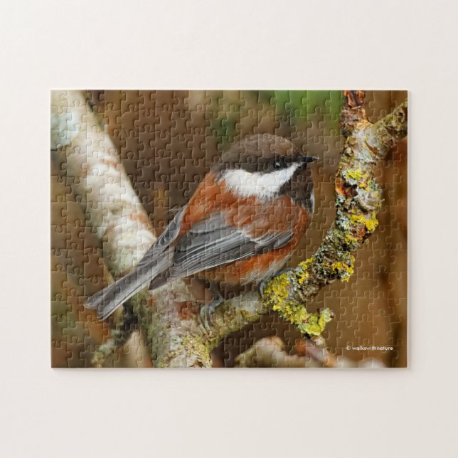 Puzzle Cute Chestnut-Backed Chickadee Songbird (Horizontal)