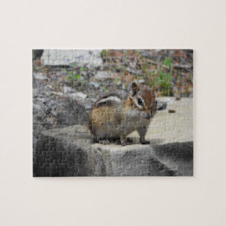 Puzzle Cute Chipmunk como un criador en una roca