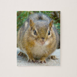 Puzzle Cute Chipmunk Tiene La Vista En Ti