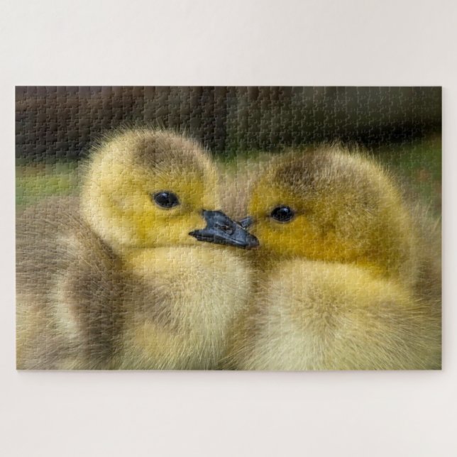 Puzzle Cute ducklings photo (Horizontal)