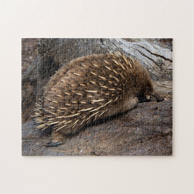 Puzzle Cute Echidna Australia, niños 252 piezas (Horizontal)