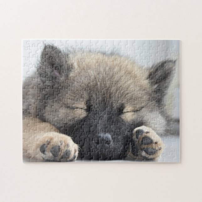 Puzzle Cute Eurasier Puppy (Horizontal)