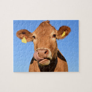 Puzzle Cute Friendly Cow