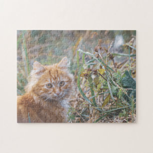 Puzzle Cute Funky Ginger Cat Kitten Face Grass