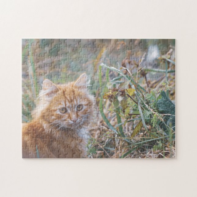 Puzzle Cute Funky Ginger Cat Kitten Face Grass (Horizontal)