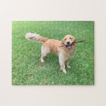 Puzzle Cute Golden Retriever Dog Photograph Green Nature<br><div class="desc">Este adorable recuperador dorado jugando a buscar en la hermosa hierba verde del verano está destinado a hacerte sonreír. Un lindo regalo de rompecabezas para perros.</div>