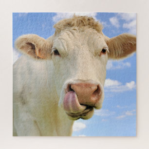 Puzzle Cute Graciosa Granja Charolais Nariz Licor Vaca