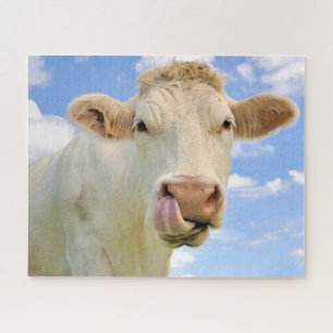 Puzzle Cute Graciosa Granja Charolais Nariz Licor Vaca
