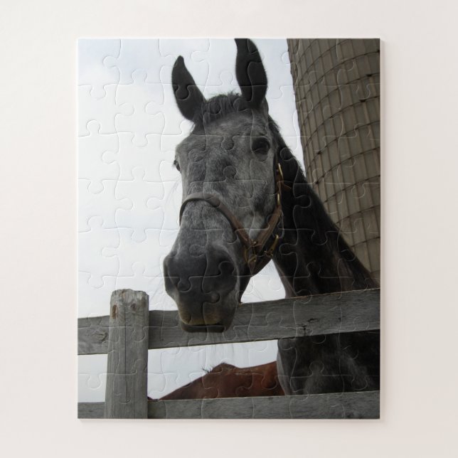 Puzzle Cute Horse Close (Vertical)