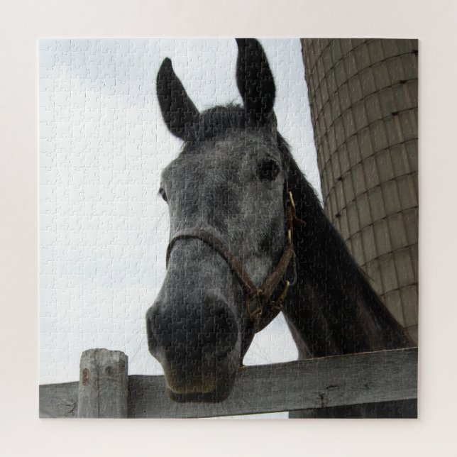 Puzzle Cute Horse Close (Vertical)