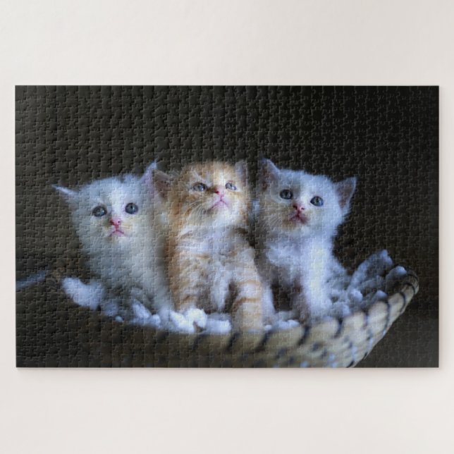 Puzzle Cute Kitten (Horizontal)