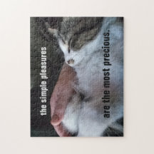 Cute Kitten Cita Sencillos Peligros Más Preciosos