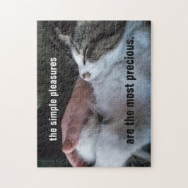 Puzzle Cute Kitten Cita Sencillos Peligros Más Preciosos