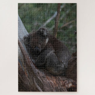 Puzzle Cute Koala durmiendo en el árbol Australia, 1014 p