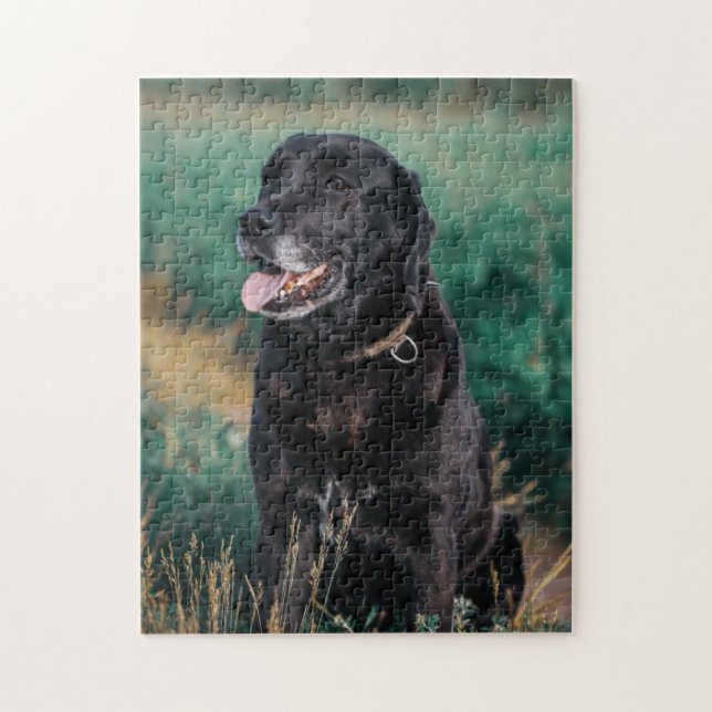 Puzzle Cute Labrador Mascota de Cachorros de Perro Negro (Vertical)