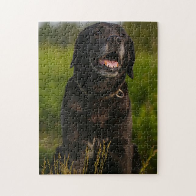 Puzzle Cute Labrador Mascota de Cachorros de Perro Negro (Vertical)