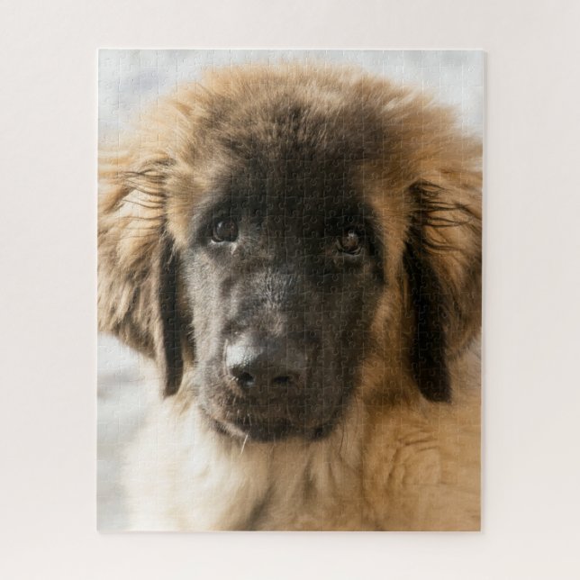 Puzzle Cute Leonberger Puppy (Vertical)