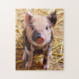 Puzzle Cute Little Piglet