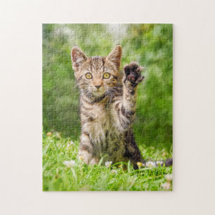 Puzzle Cute Maneki Neko Cat Kitten Funny Beckoning Pose