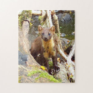 Puzzle Cute Marta de Pine sobre Tronco Fauna Silvestre de