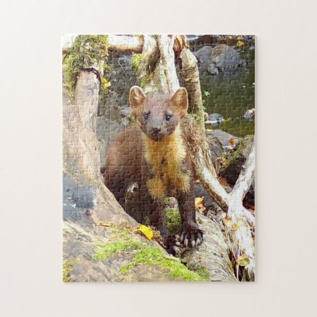 Puzzle Cute Marta de Pine sobre Tronco Fauna Silvestre de (Vertical)