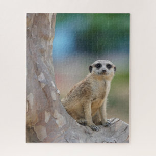 Puzzle Cute Meerkat Sat en el árbol