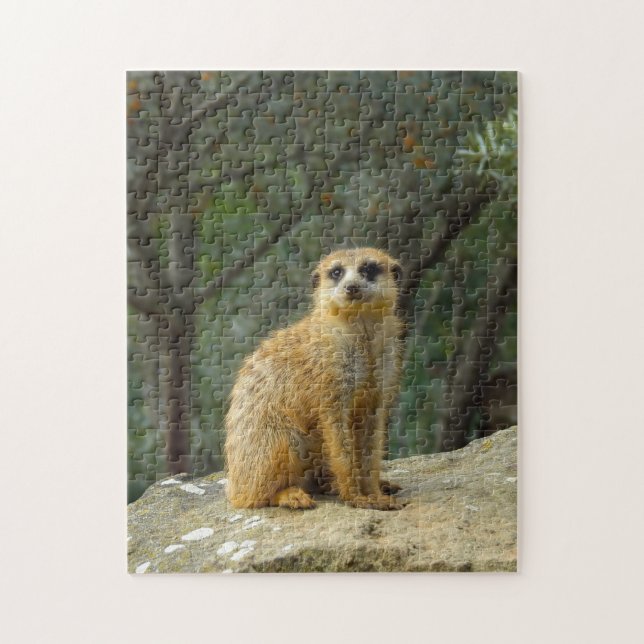 Puzzle Cute Meerkat Sitting Photography (Vertical)