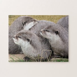 PUZZLE CUTE OTTERS