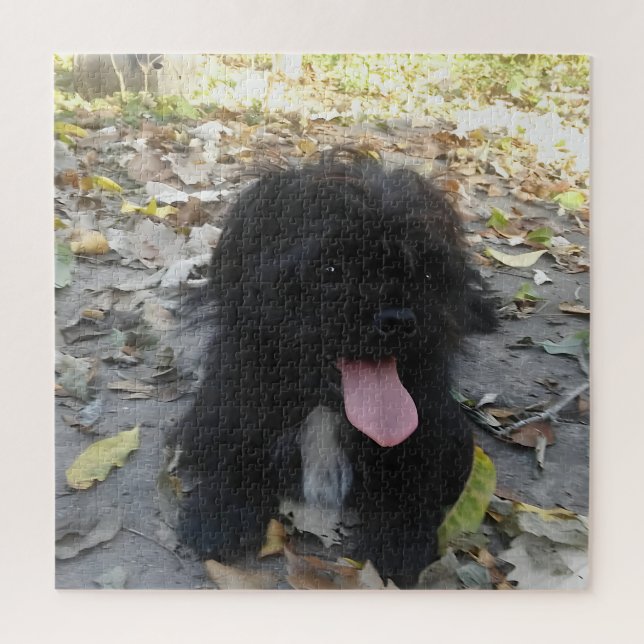Puzzle Cute Puppy Alert (Vertical)