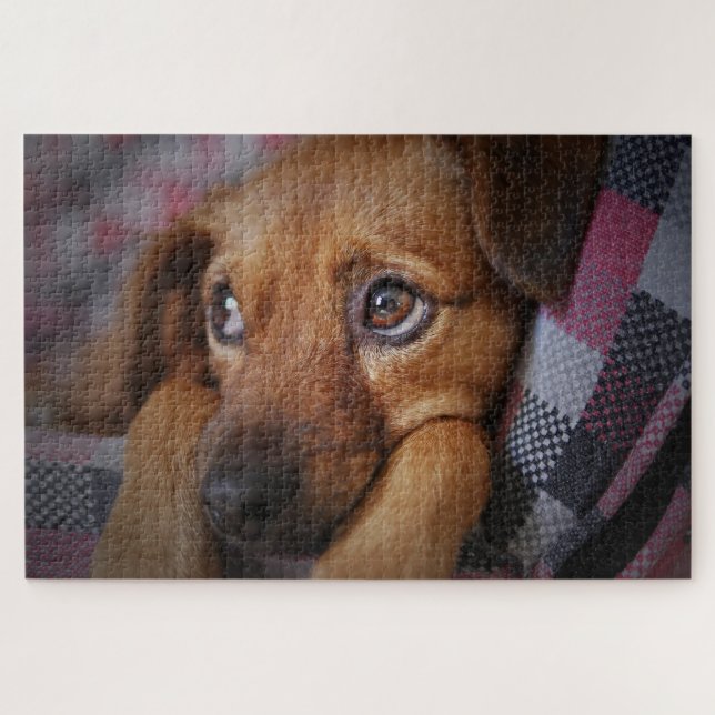 Puzzle Cute Puppy Dog (Horizontal)