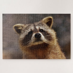 Puzzle Cute Racoon