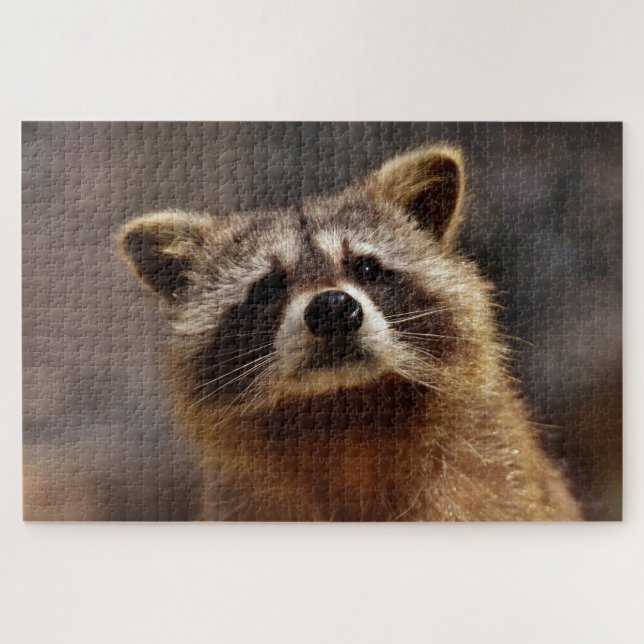 Puzzle Cute Racoon (Horizontal)