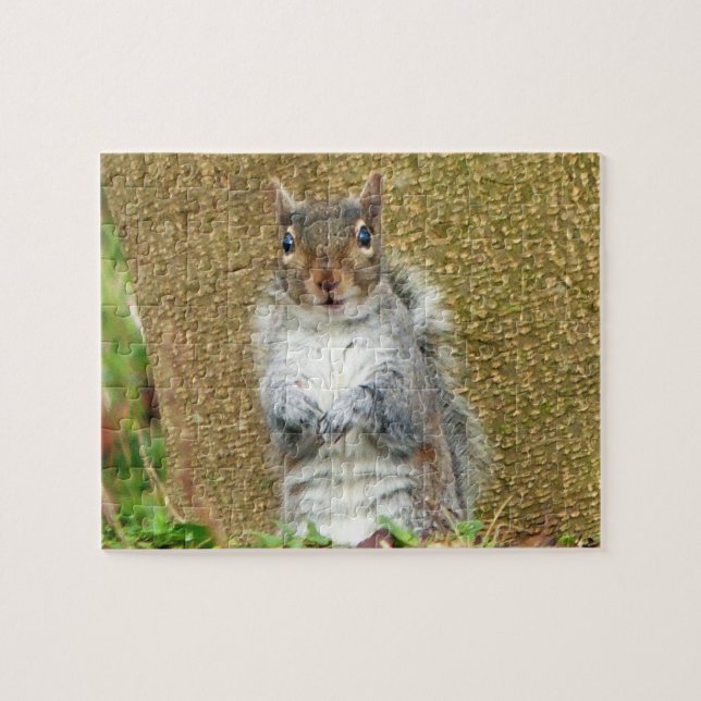 Puzzle Cute Squirrel (Horizontal)
