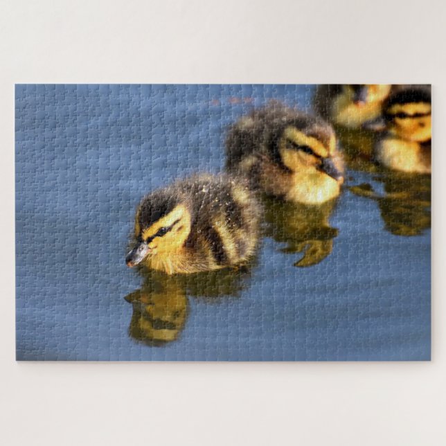 Puzzle Cute swimming ducklings (Horizontal)