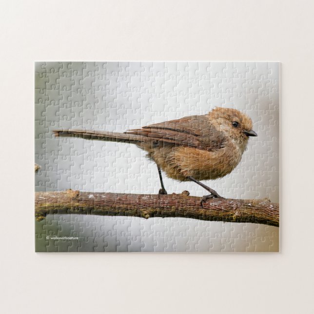 Puzzle Cute Wee Bushtit Songbird en un árbol de frutas (Horizontal)