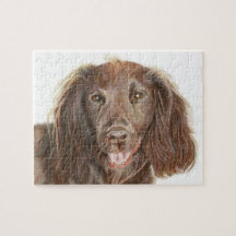 Cute Working Cocker Spaniel Hand Pintado