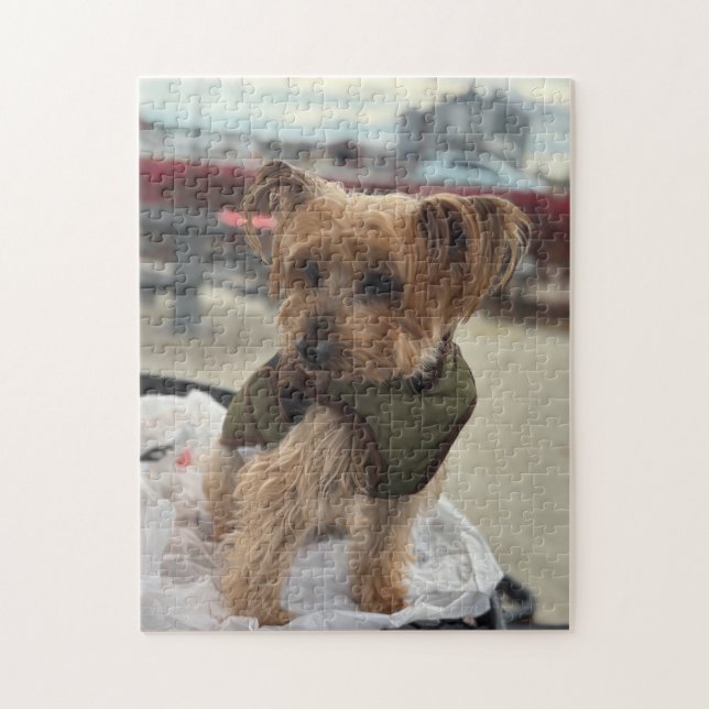 Puzzle Cute Yorkie / Westie at the Cider Mill (Vertical)
