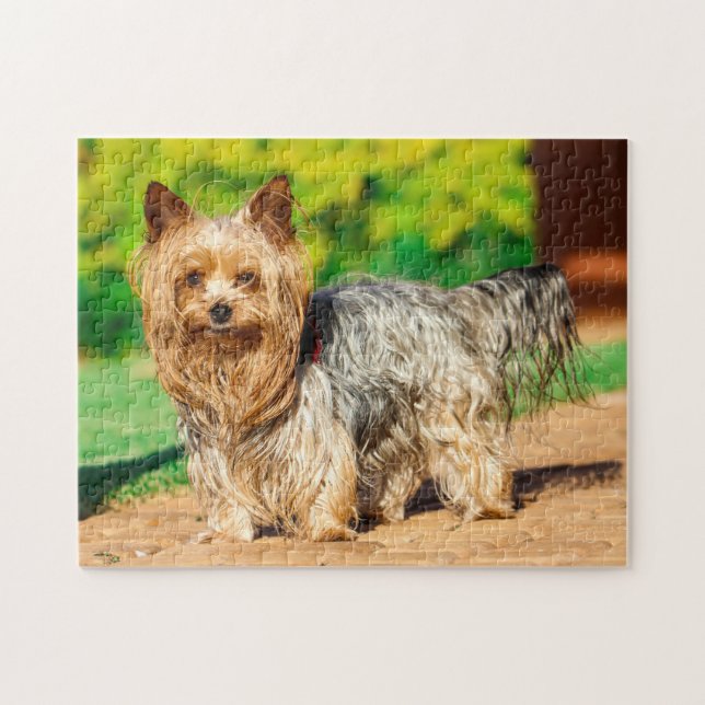 Puzzle Cute Yorkshire Terrier Yorkie Dog Puppy (Horizontal)