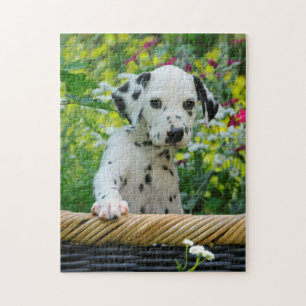 Puzzle Cute Young Dalmatian Dog Puppy Game 11x14
