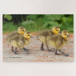 Puzzle Cuteness on Parade: Cebollas de Canadá