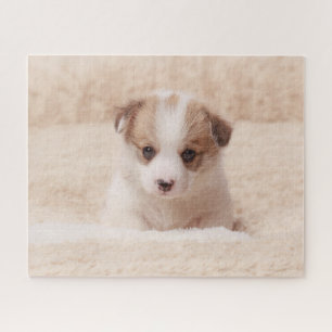 Puzzle Cutest Baby Animals Baby Corgi