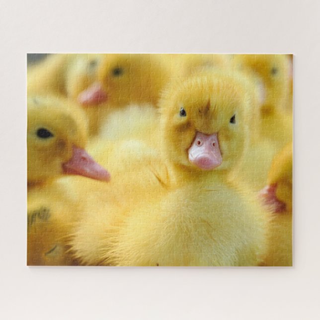 Puzzle Cutest Baby Animals | Baby Duck Group (Horizontal)