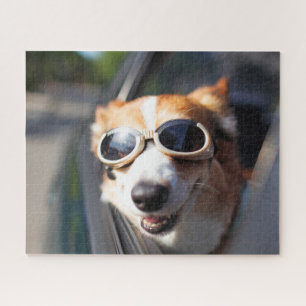 Puzzle Cutest Baby Animals Corgi Goggles in the Car