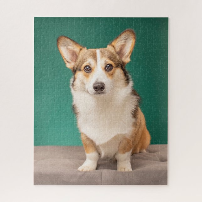 Puzzle Cutest Baby Animals | Corgi on Teal (Vertical)