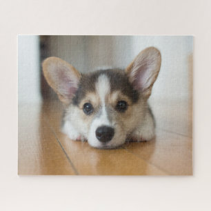 Puzzle Cutest Baby Animals Corgi Puppy Looking